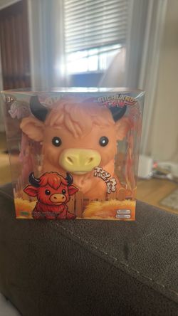 Highland Cow