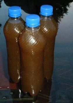 Red Wiggler Worm 🪱 Tea ☕️ organic Fertilizer 💩 750 ml Bottle $10 1.5ml bottle $15 🌺 🌸 🪴