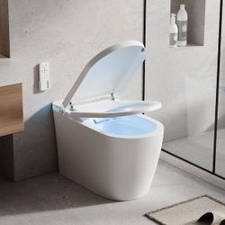 2524h Smart Toilet with Bidet Built in,One Piece Toilet with Heated Seat&Night Light,Warm Water Wash&Dry,Tankless Toilet