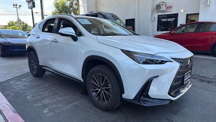 2024 Lexus NX
