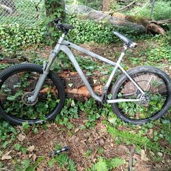 Specialized Fat boy 