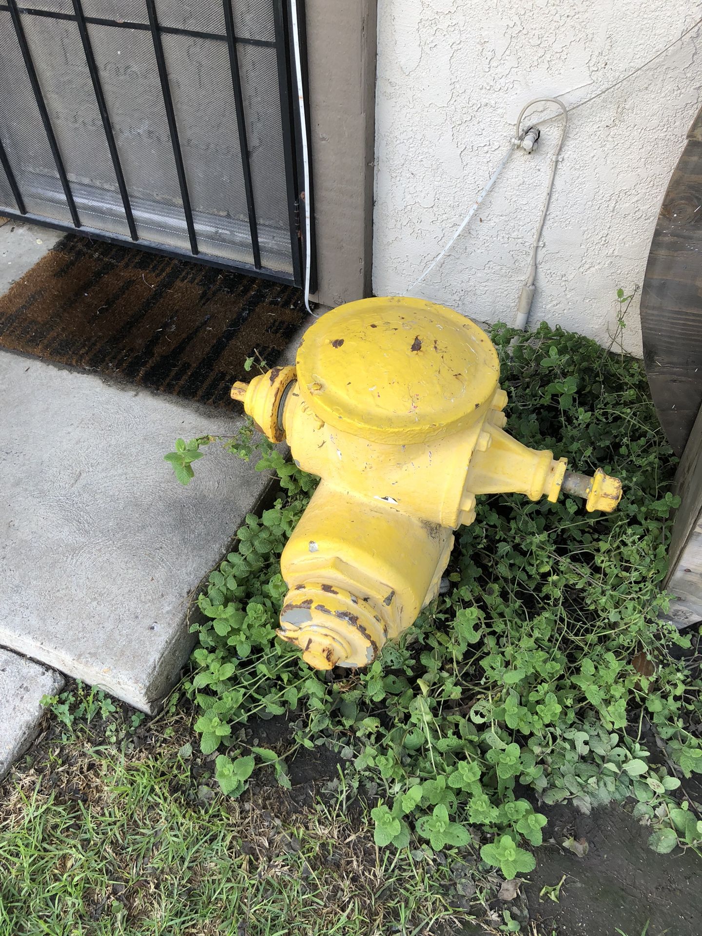  Ty Fire hydrant 