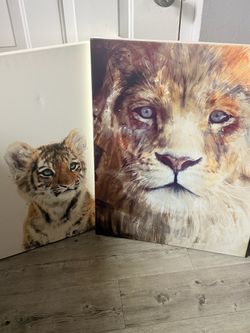Lion and Cub Picture