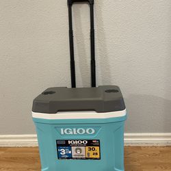 Igloo   30-Quart Cooler .