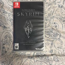 SKYRIM SWITCH VERSION