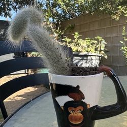 Monkey Tail 