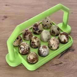 Fertilized Quail Eggs Spring Branch (Memorial City Mall Area)