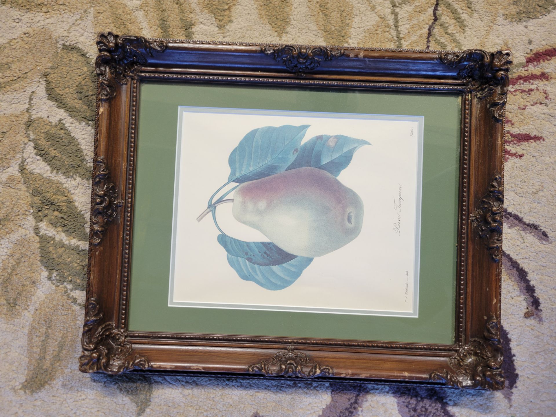 framed antique-style botanical illustration titled Reine Claude franche by the famous French artist Pierre-Joseph Redouté