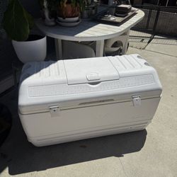 Igloo Contour Maxcold Cooler, 165 quart/156 L