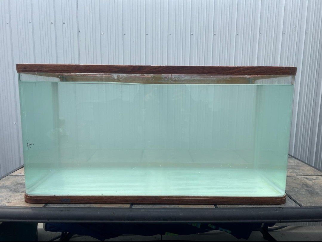 Aquarium- Fish Tank