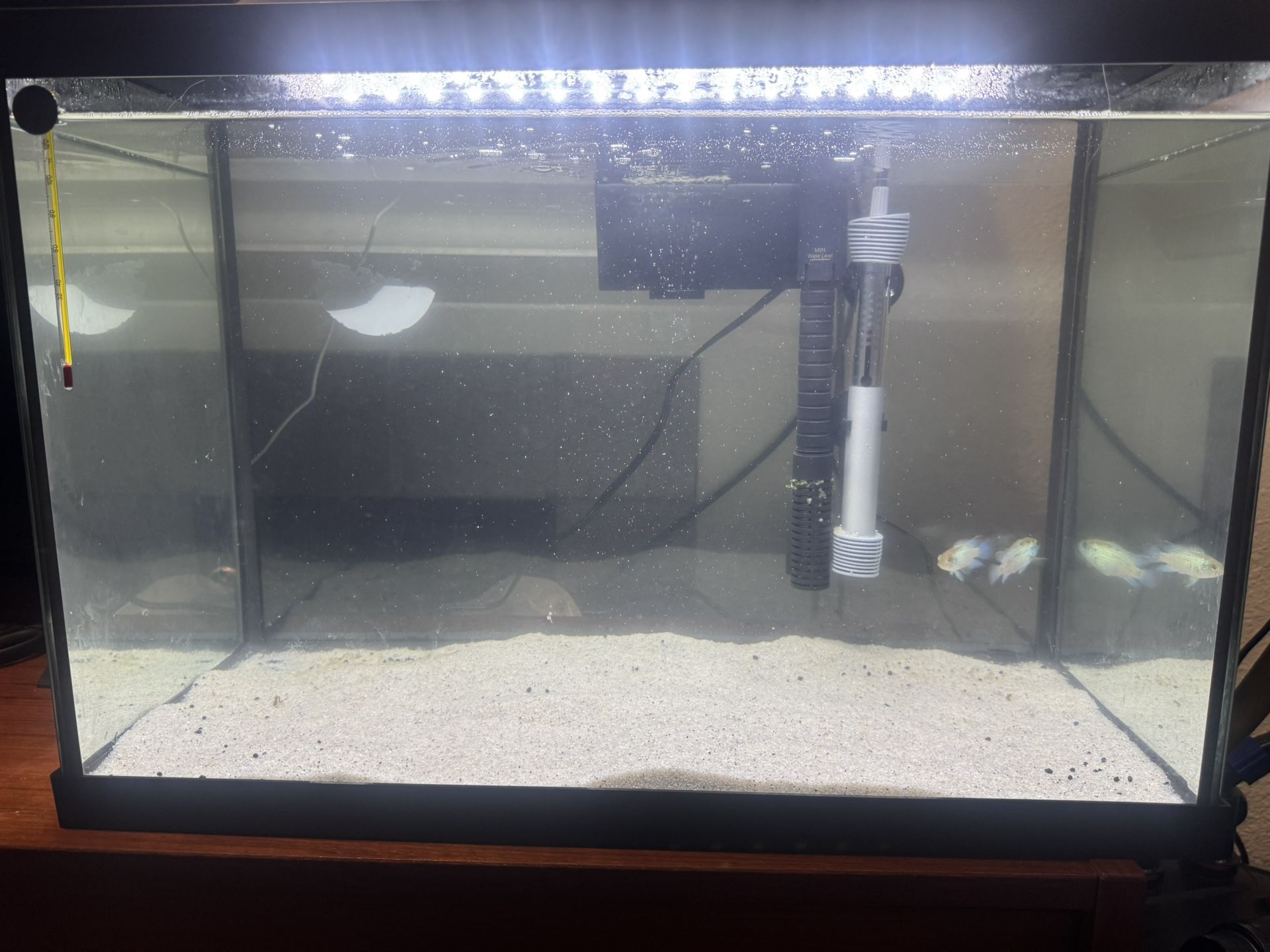 2 Fish tanks Fish Sand And Everything