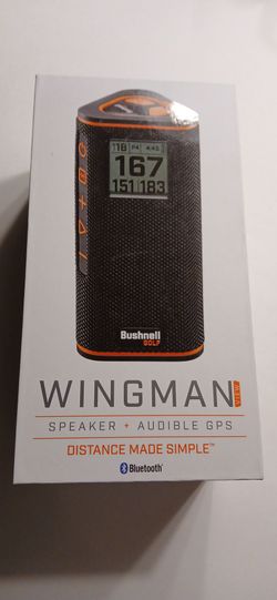 Wingman Audible GPS