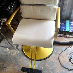 Haircut Salon Chair