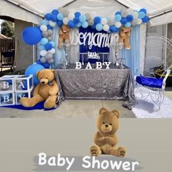 Baby Shower Decor , Moana,cars,Butterfly,xv,wedding 