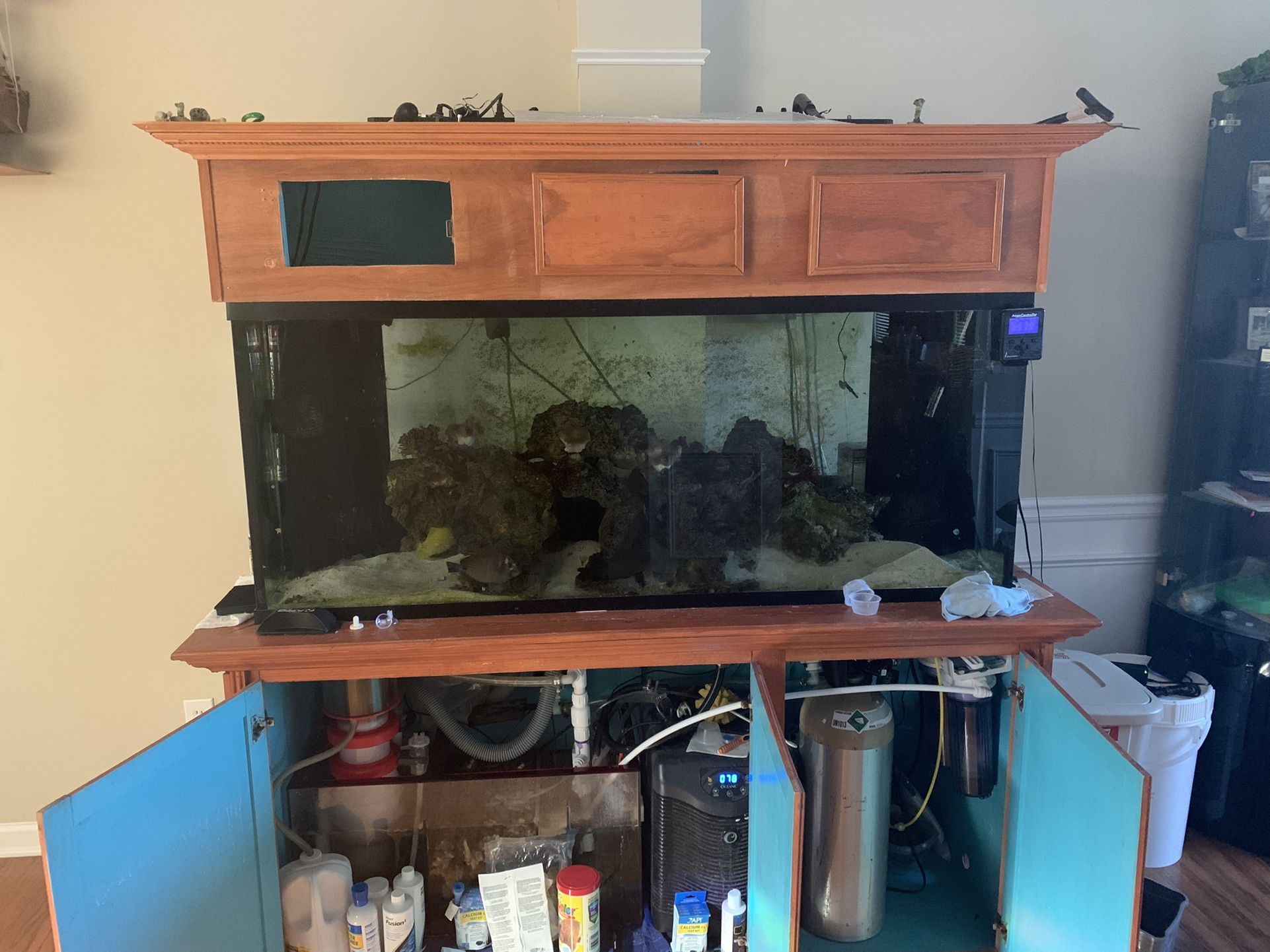Live Fish Tank Aquarium Negotiable 