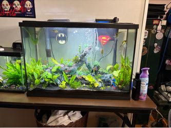 30 Gallon fish Tank