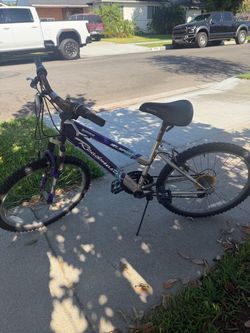 Shimano roadmaster