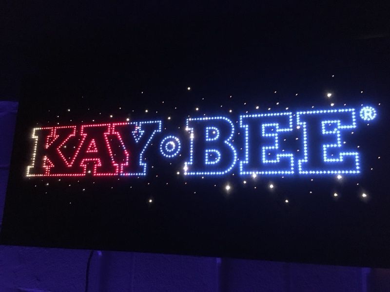 SUPER RARE ANIMATED FIBEROPTIC KAY-BEE TOYS/WORLD OF NINTENDO SIGN! MODEL M36C! KB TOYS, NES VIDEO GAMES! COLLECTIBLE! TOYS R US/KIDDIE CITY RIVAL!
