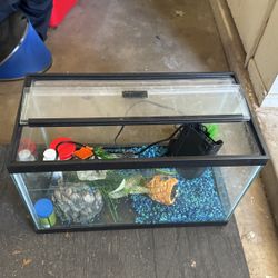 Fish Tank W Everything Included