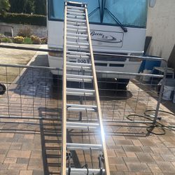 32’ Dewalt Fiberglass Extension Ladder