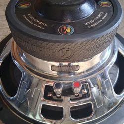 12" Subwoofer 