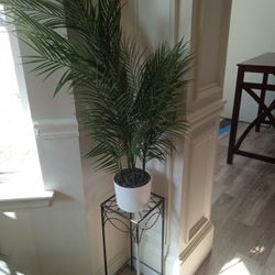 Iron Plant Stand