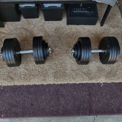 2 Dumbbells