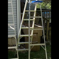 ladder 