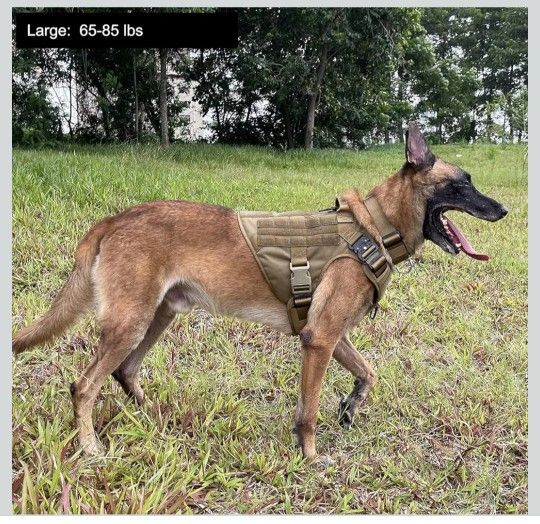 CEFANG Tactical Dog Harness Large Size,2X Metal Buckle,Working Dog MOLLE Vest with Handle,No Pulling Front Leash Clip,Hook and Loop Panel Size L