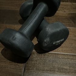 A Pair of 8 Lb Weights