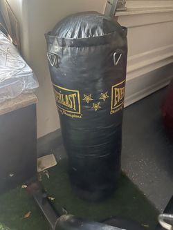 Everlast Punching bag and stand