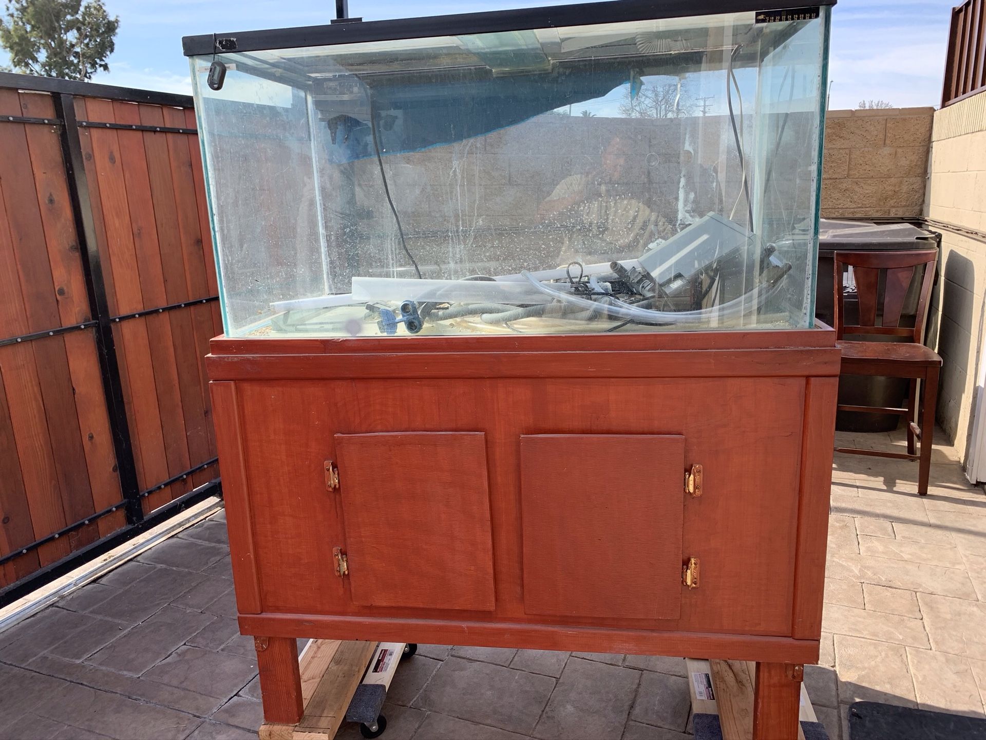 125 Aquarium for sale. Well maintained and comes with everything; 1 aqua clear 500 filters,FLUVAL 404 canister filer, large heater, extra large air