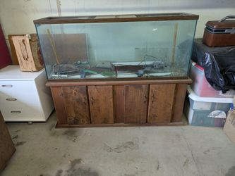 90 gallon fish tank
