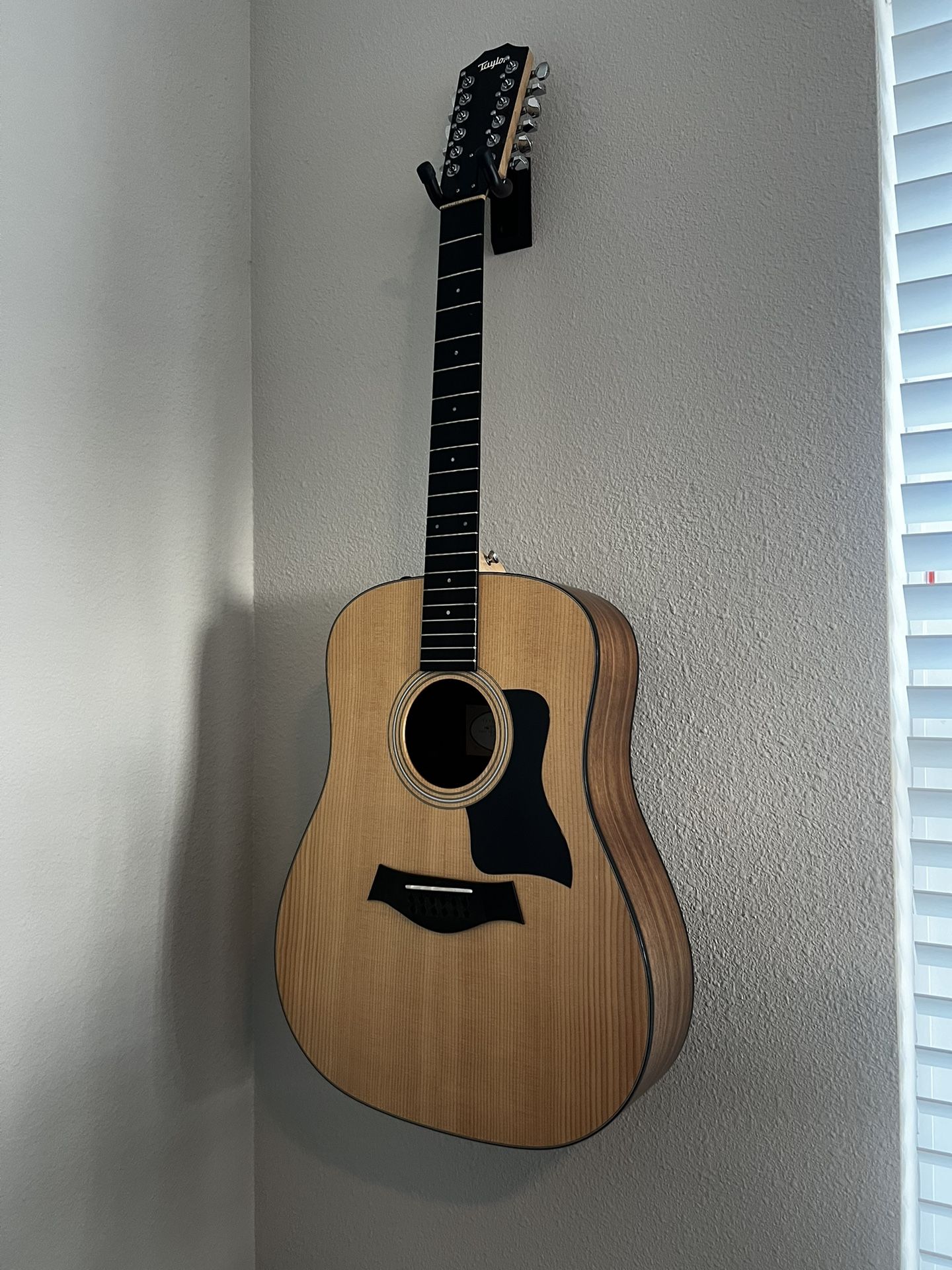 2020 Taylor 150e (Twelve String)