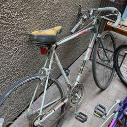 Express Road Bike