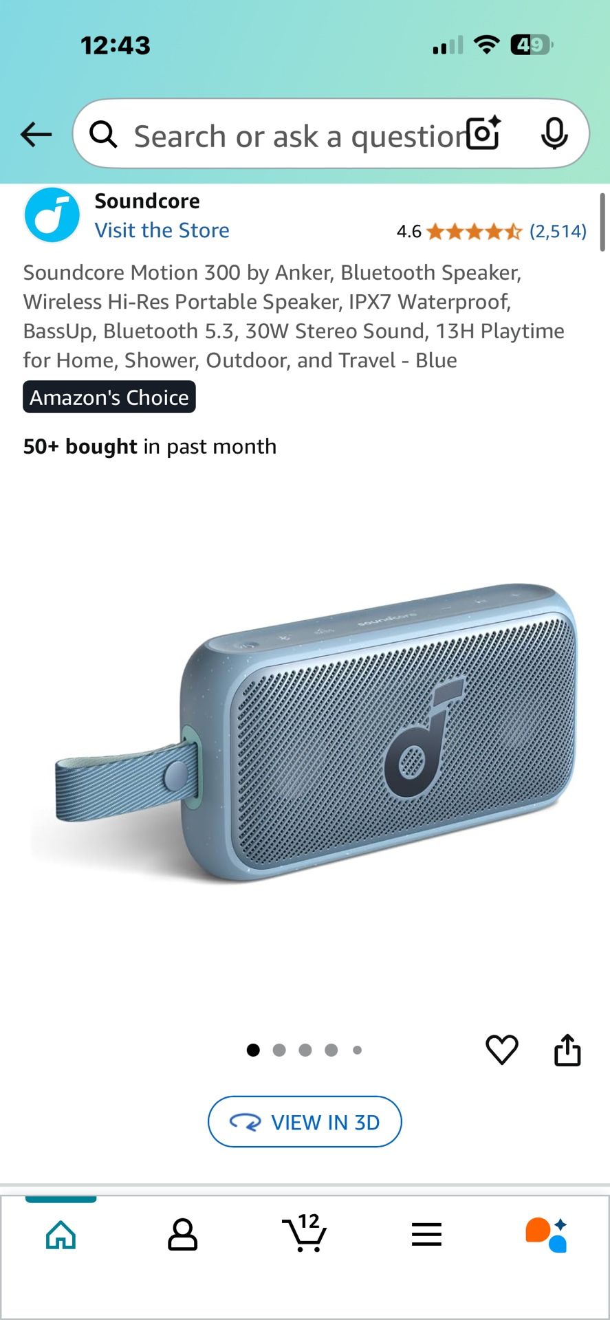 Soundcore Motion 300