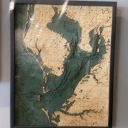 Tampa 3D Framed Map / Bathymétric Chart