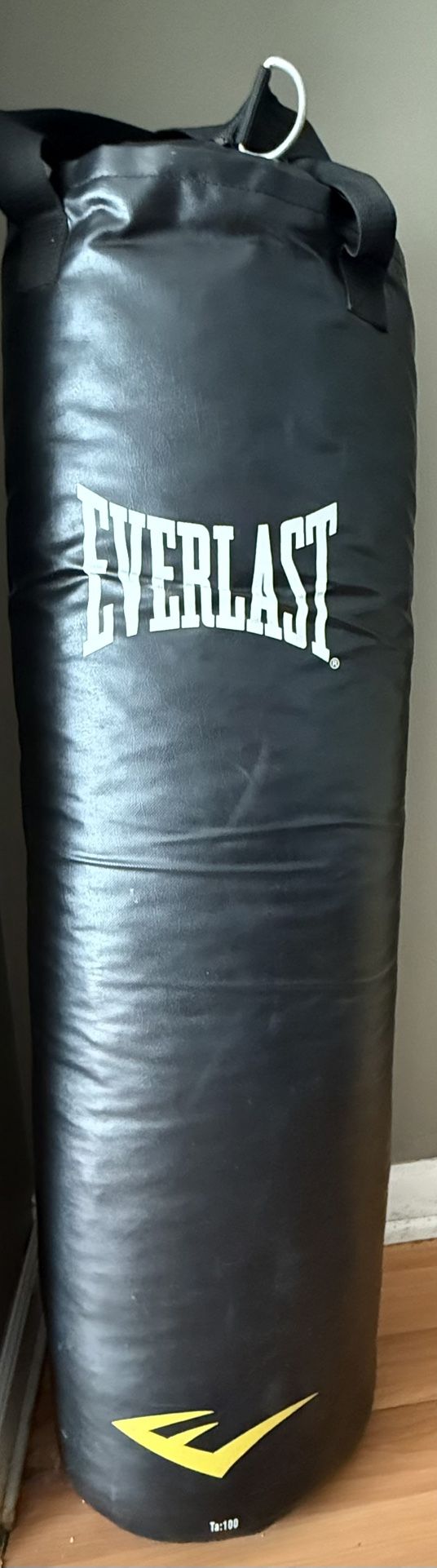 Everlast Punching Bag Ta:100