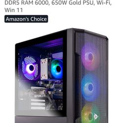 SkyTech Gaming PC, 27" Sceptre Monitors 