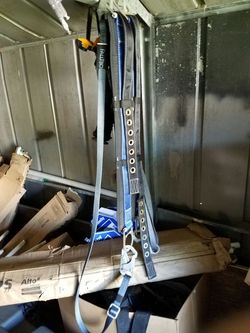 Safety harness