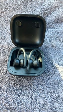 Beats Powerbeats Pro Wireless Earbuds with Case