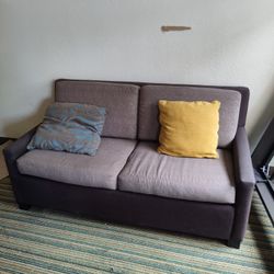 Small 2 Person Sofa With Pull Out Bed. $75