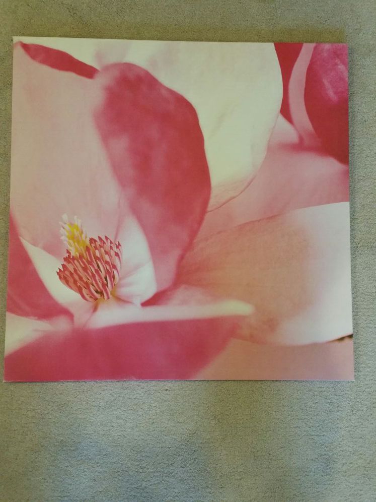Canvas floral print (pink)