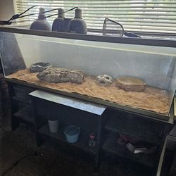 Large Reptile Tank With Hoods Light And Ceramic Heating Element 