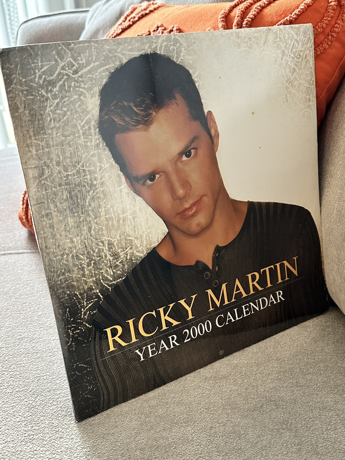 RICKY MARTIN 1(contact info removed) CALENDAR 12" x 12"