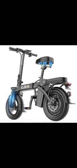 Adult Electric Bike