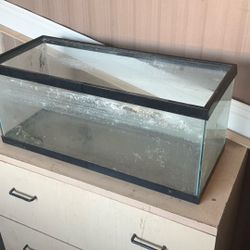 Aquarium (small) $10