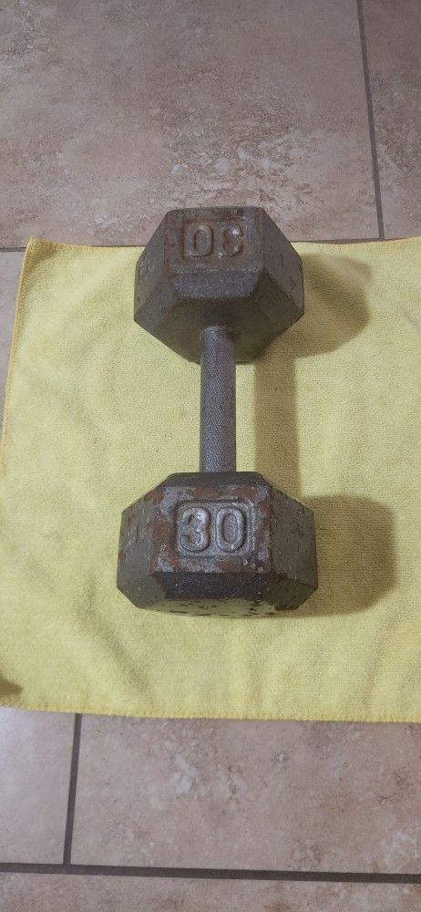 30lb Dumbbell Weight 