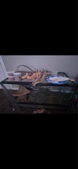Reptile aquarium