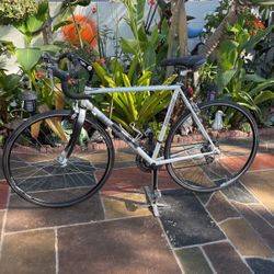 A Used Bianchi Brava Road Bike